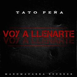 VOY A LLENARTE (COVER)