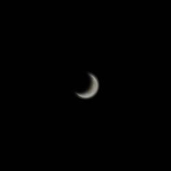 Luna de Miel