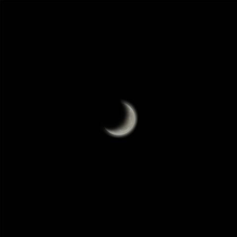 Luna de Miel