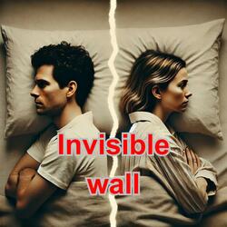 Invisible Wall