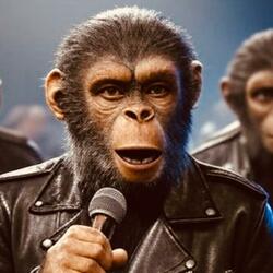 Monkey Man Better Man