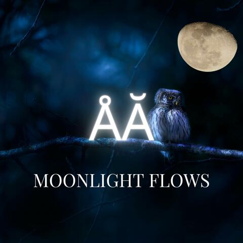 Moonlight Flows
