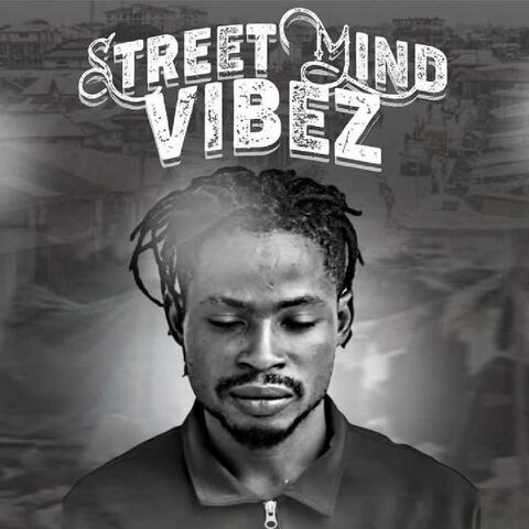 STREET MIND VIBEZ (S.M.V)