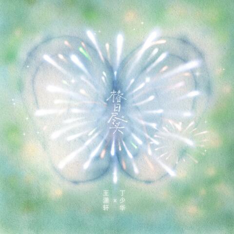 Where Spring Ends（椿日尽头）