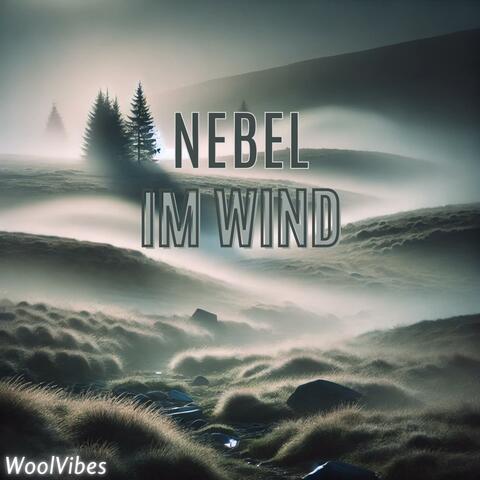 Nebel im Wind