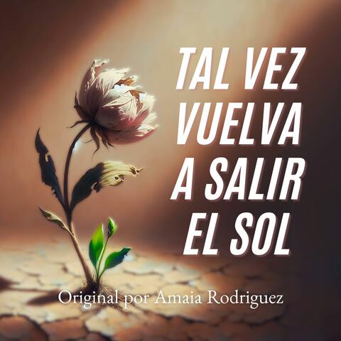 Tal vez vuelva a salir el sol