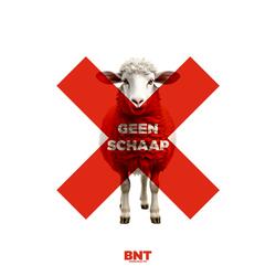 GEEN SCHAAP