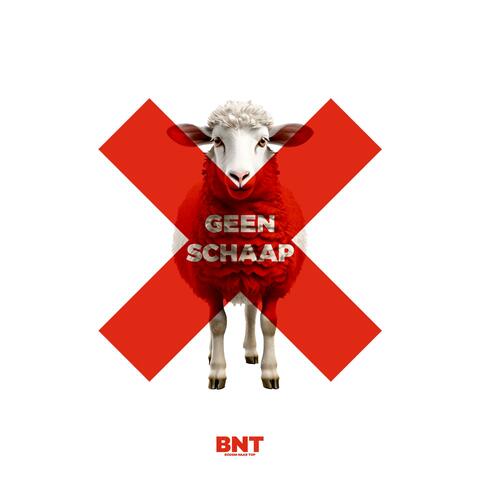 GEEN SCHAAP