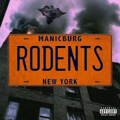 Rodents