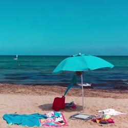 The Sun Always Shines on T.V.