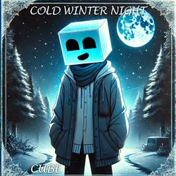 Cold Winter Night