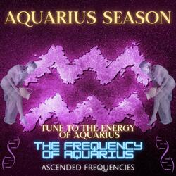 The Frequency Of Aquarius (557Hz 663Hz 4987Hz)