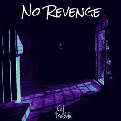 NO REVENGE