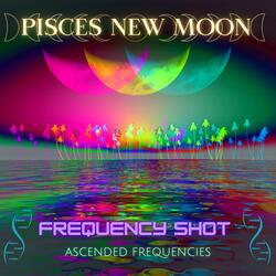 Pisces New Moon Assistance & Processing Frequency (229Hz 724Hz 1249Hz)