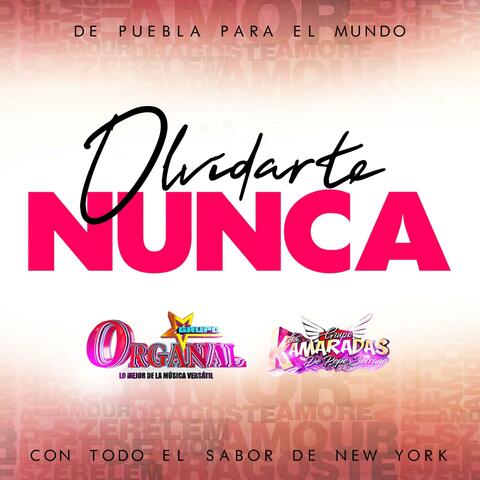 Olvidarte nunca (feat. Grupo los Kamaradas)