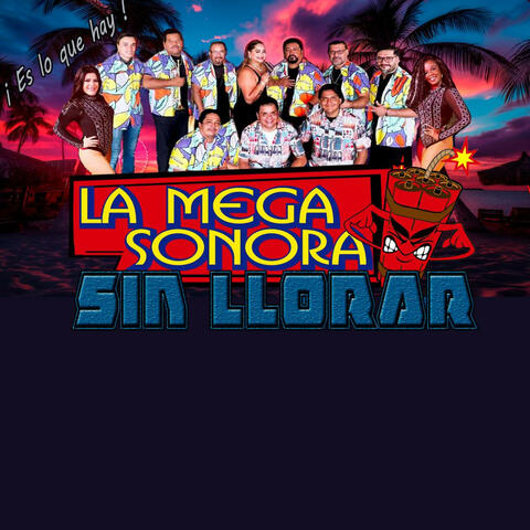 Sin llorar