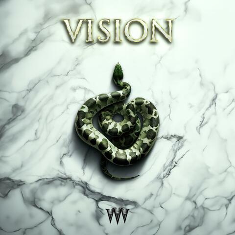 Vision