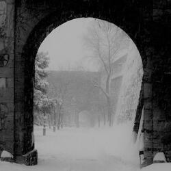 Dreams Beneath the Snow