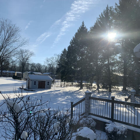 Winter Sun