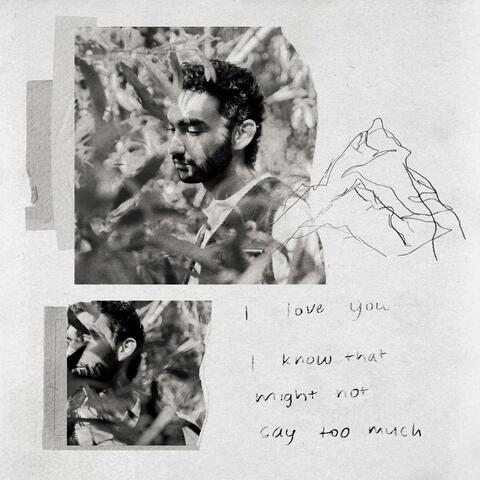 Say Too Much