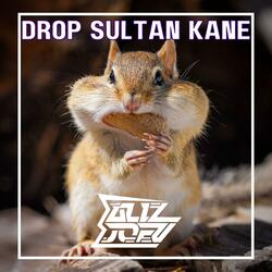 DROP SULTAN KANE