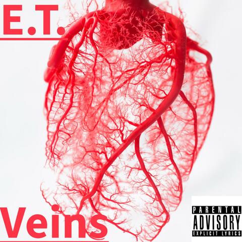 Veins