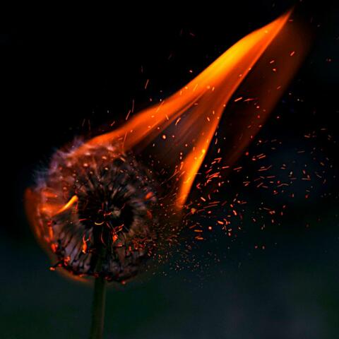 Gone