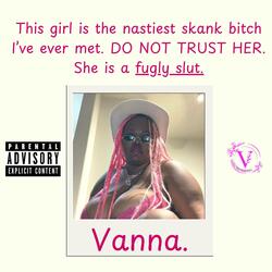 Vanna 2.0