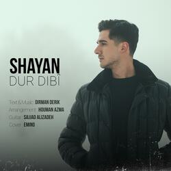 Dûr Dibî