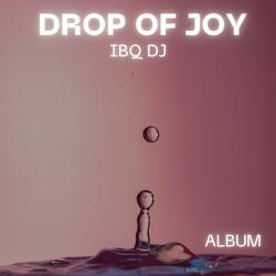 Delight (Radio Edit)