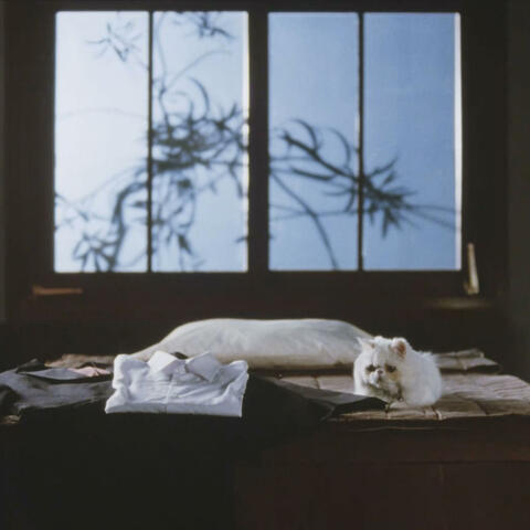 Maneki Neko (Original Short Film Soundtrack): The Departure [Main Theme]