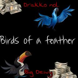 Birds of a feather (feat. Drakko nol)