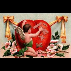 I'm not going to fall in love again