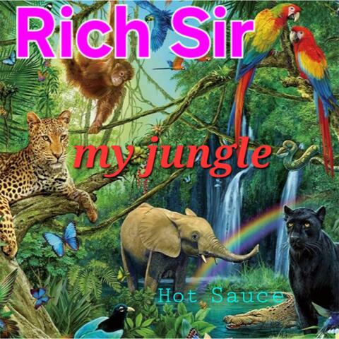 My Jungle