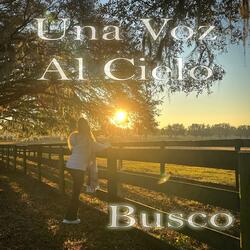 Busco