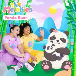 Panda Bear