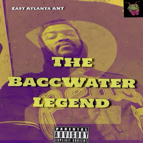 The BaccWater Legend 2
