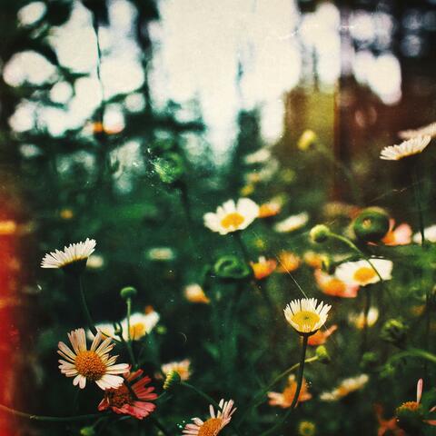 Bach: Prelude in B flat minor, No. 22