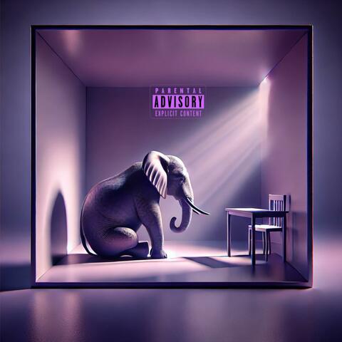 Elephant In The Room