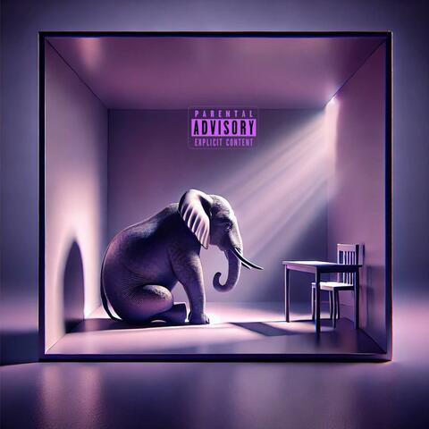 Elephant In The Room