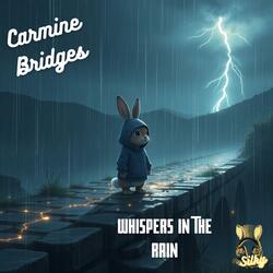 Whispers In The Rain