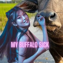 My buffalo sick