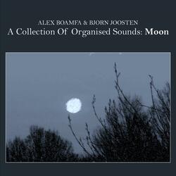 Moon VIII
