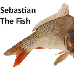 Sebastian The Fish (Pt. 1)