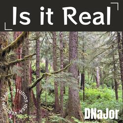 Is it Real (RAW Studios Idea Version)