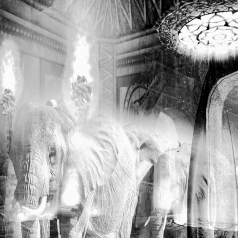 Resonant Moonstone: Midnight Elephant's Journey