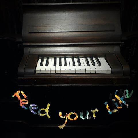 Feed your Life