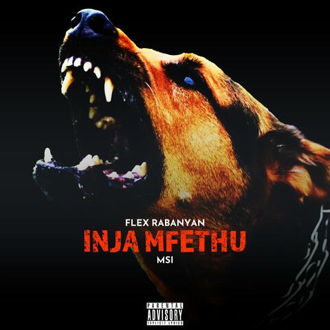 Inja Mfethu (feat. MSI)