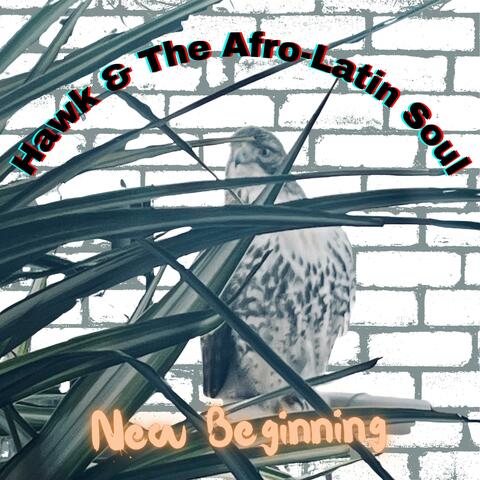 New Beginning