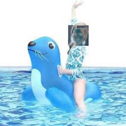 Party With a Seal